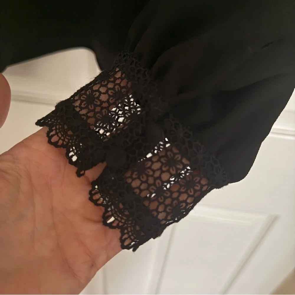 Sezane Black Lace Blouse - Picture 12 of 12